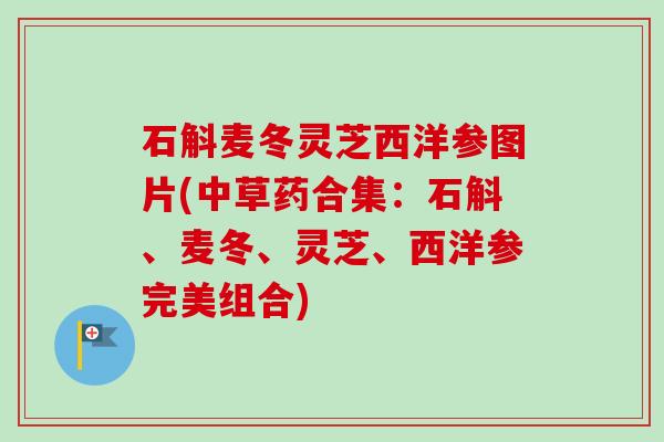 石斛麦冬灵芝西洋参图片(中草药合集：石斛、麦冬、灵芝、西洋参完美组合)