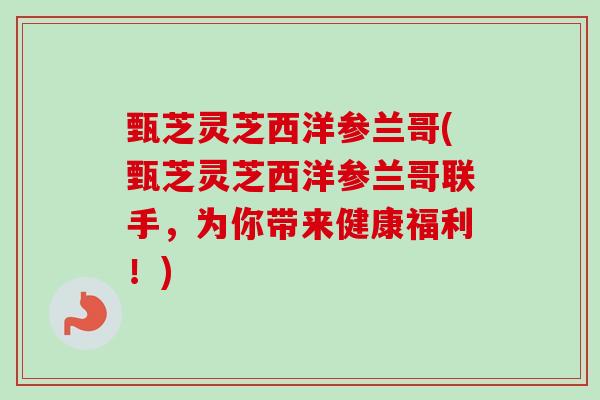 甄芝灵芝西洋参兰哥(甄芝灵芝西洋参兰哥联手，为你带来健康福利！)