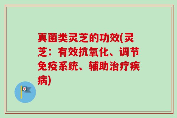 真菌类灵芝的功效(灵芝：有效、调节免疫系统、辅助)