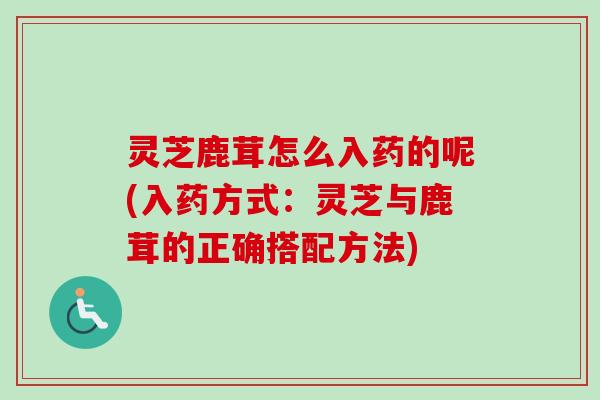 灵芝鹿茸怎么入药的呢(入药方式：灵芝与鹿茸的正确搭配方法)