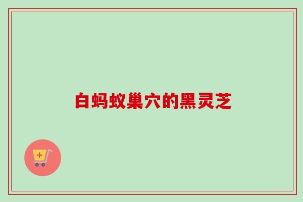 白蚂蚁巢穴的黑灵芝 白蚂蚁巢穴的黑灵芝
