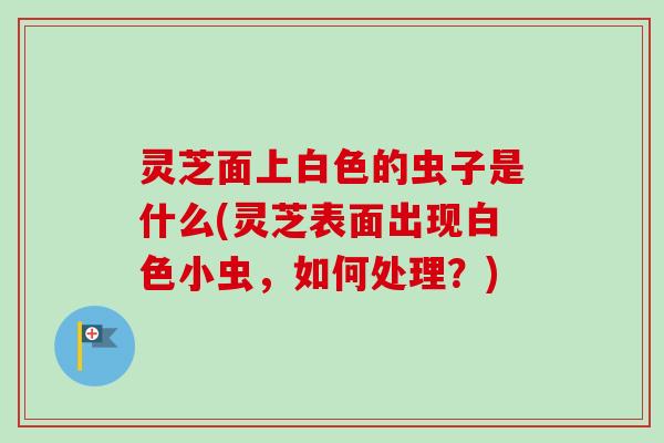 灵芝面上白色的虫子是什么(灵芝表面出现白色小虫,如何处理?) 灵芝面上白色的虫子是什么(灵芝表面出现白色小虫,如何处理?)