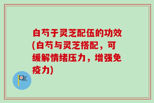 白芍于灵芝配伍的功效(白芍与灵芝搭配,可缓解情绪压力,增强免疫力) 白芍于灵芝配伍的功效(白芍与灵芝搭配,可缓解情绪压力,增强免疫力)