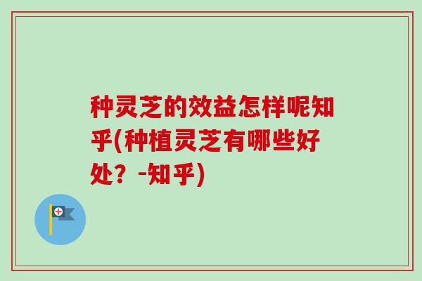 种灵芝的效益怎样呢知乎(种植灵芝有哪些好处？-知乎)