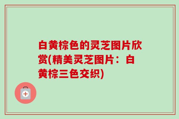 白黄棕色的灵芝图片欣赏(精美灵芝图片：白黄棕三色交织)