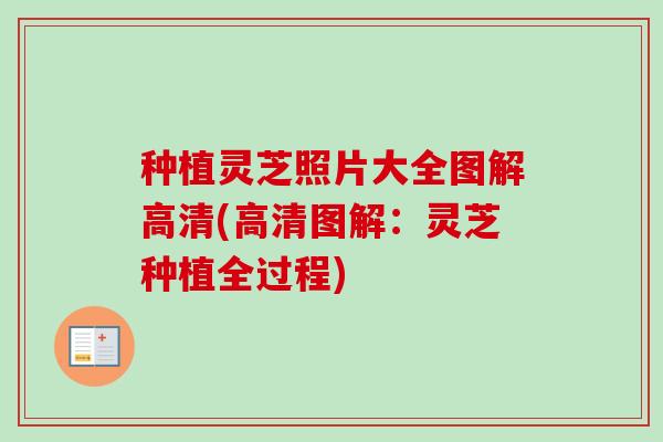 种植灵芝照片大全图解高清(高清图解:灵芝种植全过程) 种植灵芝照片大全图解高清(高清图解:灵芝种植全过程)