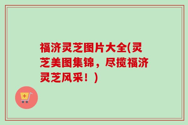 福济灵芝图片大全(灵芝美图集锦,尽揽福济灵芝风采!) 福济灵芝图片大全(灵芝美图集锦,尽揽福济灵芝风采!)