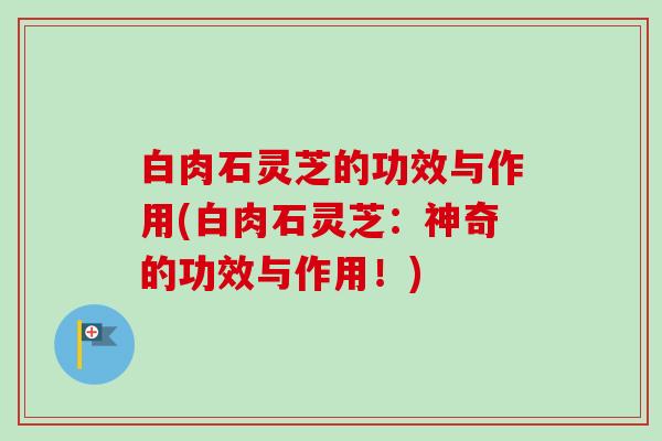 白肉石灵芝的功效与作用(白肉石灵芝：神奇的功效与作用！)