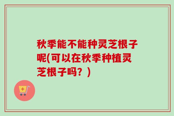 秋季能不能种灵芝根子呢(可以在秋季种植灵芝根子吗?) 秋季能不能种灵芝根子呢(可以在秋季种植灵芝根子吗?)