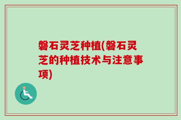 磐石灵芝种植(磐石灵芝的种植技术与注意事项)