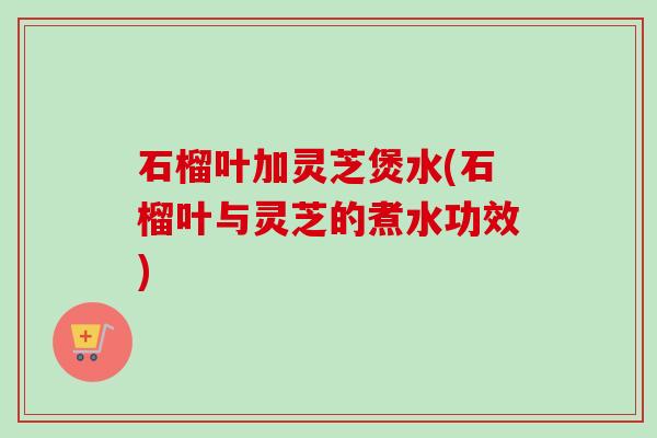 石榴叶加灵芝煲水(石榴叶与灵芝的煮水功效)