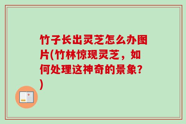 竹子长出灵芝怎么办图片(竹林惊现灵芝,如何处理这神奇的景象?) 竹子长出灵芝怎么办图片(竹林惊现灵芝,如何处理这神奇的景象?)