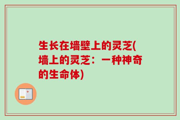 生长在墙壁上的灵芝(墙上的灵芝:一种神奇的生命体) 生长在墙壁上的灵芝(墙上的灵芝:一种神奇的生命体)