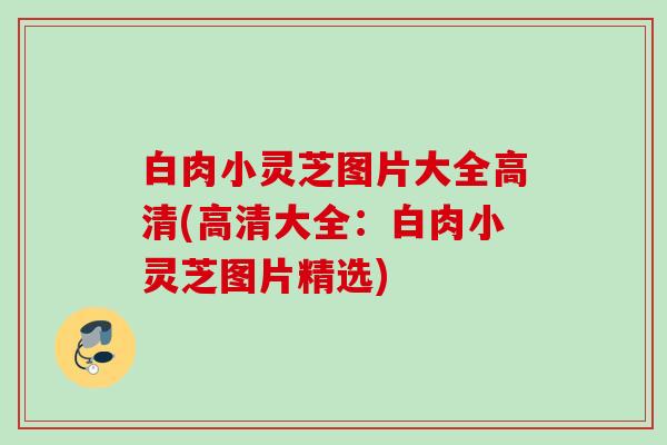 白肉小灵芝图片大全高清(高清大全:白肉小灵芝图片精选) 白肉小灵芝图片大全高清(高清大全:白肉小灵芝图片精选)