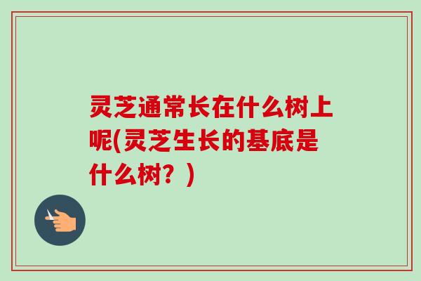 灵芝通常长在什么树上呢(灵芝生长的基底是什么树?) 灵芝通常长在什么树上呢(灵芝生长的基底是什么树?)