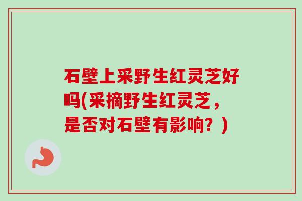 石壁上采野生红灵芝好吗(采摘野生红灵芝，是否对石壁有影响？)