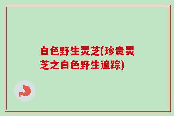 白色野生灵芝(珍贵灵芝之白色野生追踪) 白色野生灵芝(珍贵灵芝之白色野生追踪)