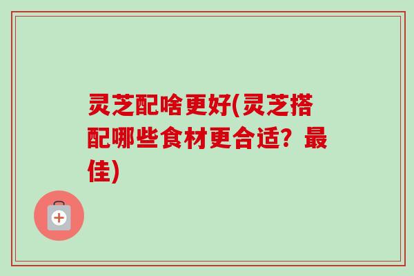 灵芝配啥更好(灵芝搭配哪些食材更合适?佳) 灵芝配啥更好(灵芝搭配哪些食材更合适?佳)