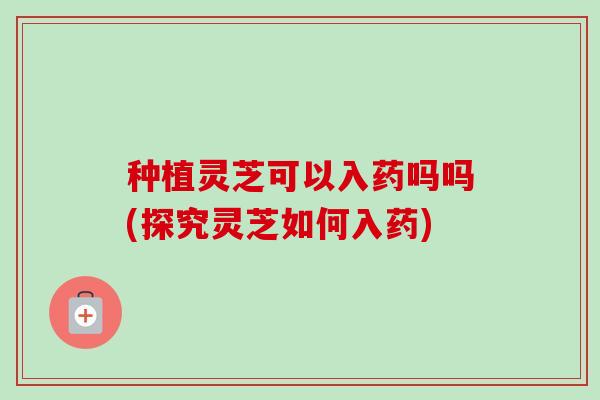 种植灵芝可以入药吗吗(探究灵芝如何入药) 种植灵芝可以入药吗吗(探究灵芝如何入药)