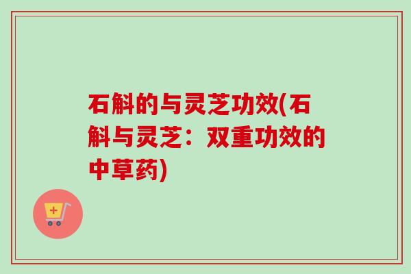 石斛的与灵芝功效(石斛与灵芝:双重功效的中草药) 石斛的与灵芝功效(石斛与灵芝:双重功效的中草药)