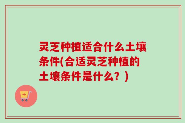 灵芝种植适合什么土壤条件(合适灵芝种植的土壤条件是什么?) 灵芝种植适合什么土壤条件(合适灵芝种植的土壤条件是什么?)