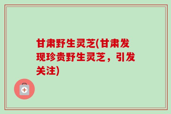 甘肃野生灵芝(甘肃发现珍贵野生灵芝,引发关注) 甘肃野生灵芝(甘肃发现珍贵野生灵芝,引发关注)
