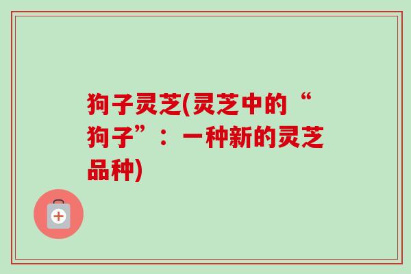 狗子灵芝(灵芝中的“狗子”:一种新的灵芝品种) 狗子灵芝(灵芝中的“狗子”:一种新的灵芝品种)