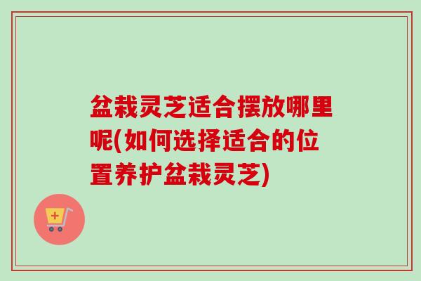 盆栽灵芝适合摆放哪里呢(如何选择适合的位置养护盆栽灵芝) 盆栽灵芝适合摆放哪里呢(如何选择适合的位置养护盆栽灵芝)