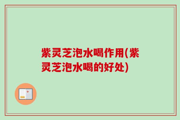 紫灵芝泡水喝作用(紫灵芝泡水喝的好处)