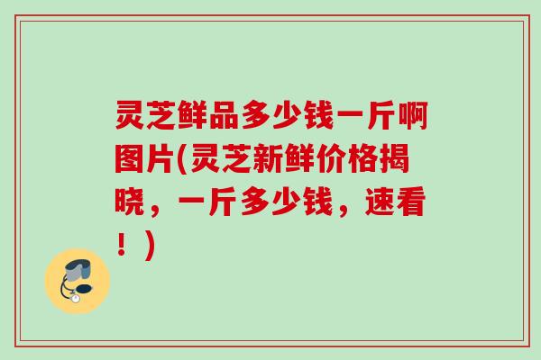 灵芝鲜品多少钱一斤啊图片(灵芝新鲜价格揭晓,一斤多少钱,速看!) 灵芝鲜品多少钱一斤啊图片(灵芝新鲜价格揭晓,一斤多少钱,速看!)