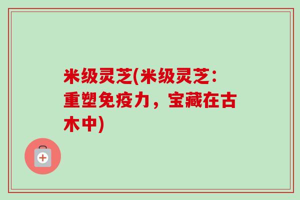 米级灵芝(米级灵芝：重塑免疫力，宝藏在古木中)