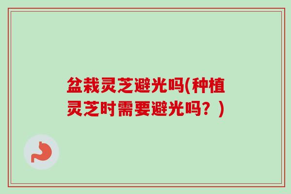 盆栽灵芝避光吗(种植灵芝时需要避光吗?) 盆栽灵芝避光吗(种植灵芝时需要避光吗?)