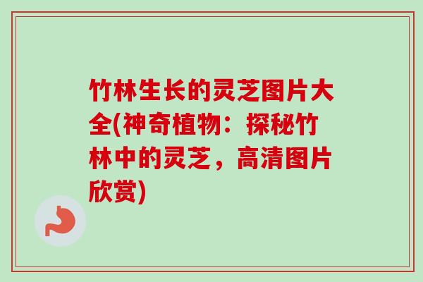 竹林生长的灵芝图片大全(神奇植物：探秘竹林中的灵芝，高清图片欣赏)