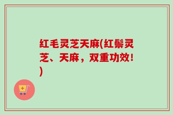 红毛灵芝天麻(红鬃灵芝、天麻，双重功效！)