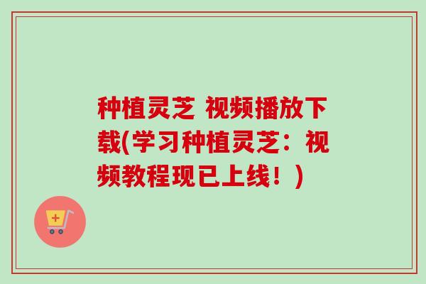 种植灵芝 视频播放下载(学习种植灵芝:视频教程现已上线!) 种植灵芝 视频播放下载(学习种植灵芝:视频教程现已上线!)