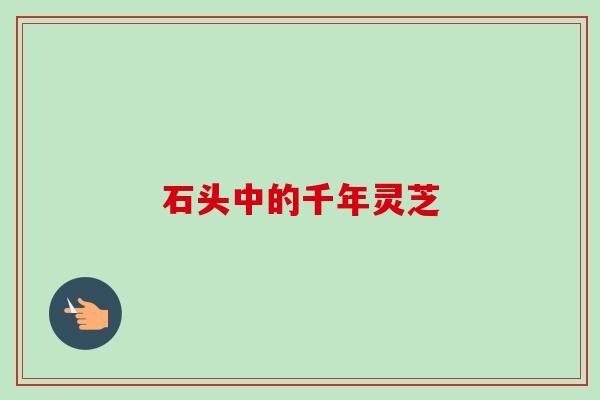 石头中的千年灵芝