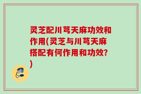 灵芝配川芎天麻功效和作用(灵芝与川芎天麻搭配有何作用和功效？)