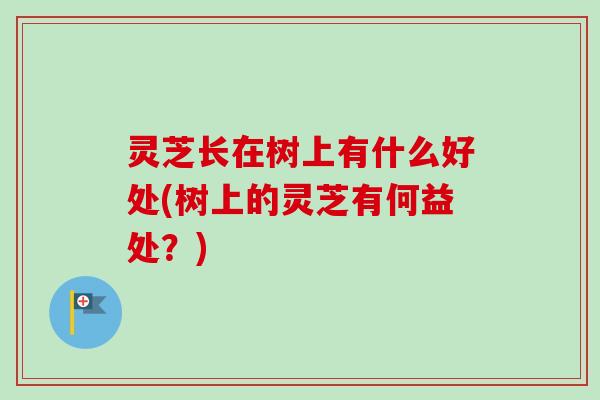 灵芝长在树上有什么好处(树上的灵芝有何益处？)
