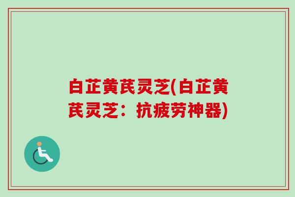 白芷黄芪灵芝(白芷黄芪灵芝:神器) 白芷黄芪灵芝(白芷黄芪灵芝:神器)