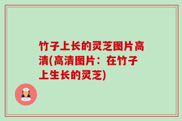 竹子上长的灵芝图片高清(高清图片:在竹子上生长的灵芝) 竹子上长的灵芝图片高清(高清图片:在竹子上生长的灵芝)