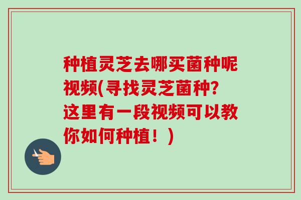 种植灵芝去哪买菌种呢视频(寻找灵芝菌种?这里有一段视频可以教你如何种植!) 种植灵芝去哪买菌种呢视频(寻找灵芝菌种?这里有一段视频可以教你如何种植!)