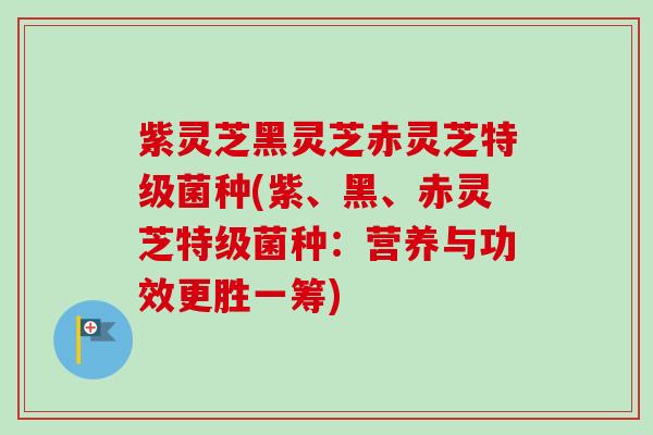 紫灵芝黑灵芝赤灵芝特级菌种(紫、黑、赤灵芝特级菌种:营养与功效更胜一筹) 紫灵芝黑灵芝赤灵芝特级菌种(紫、黑、赤灵芝特级菌种:营养与功效更胜一筹)