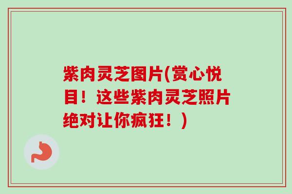 紫肉灵芝图片(赏心悦目！这些紫肉灵芝照片绝对让你疯狂！)