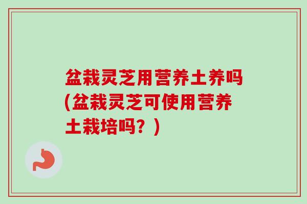 盆栽灵芝用营养土养吗(盆栽灵芝可使用营养土栽培吗?) 盆栽灵芝用营养土养吗(盆栽灵芝可使用营养土栽培吗?)