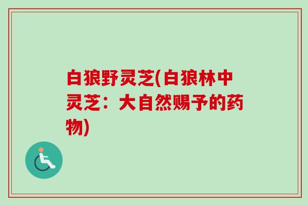 白狼野灵芝(白狼林中灵芝:大自然赐予的) 白狼野灵芝(白狼林中灵芝:大自然赐予的)