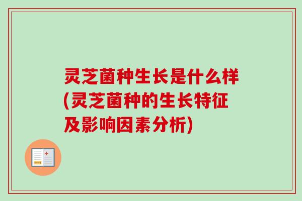 灵芝菌种生长是什么样(灵芝菌种的生长特征及影响因素分析) 灵芝菌种生长是什么样(灵芝菌种的生长特征及影响因素分析)