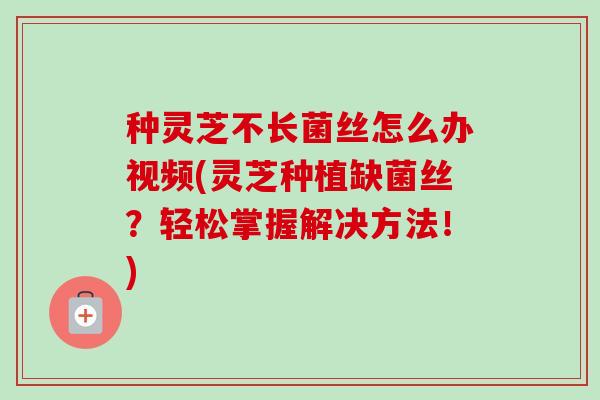 种灵芝不长菌丝怎么办视频(灵芝种植缺菌丝?轻松掌握解决方法!) 种灵芝不长菌丝怎么办视频(灵芝种植缺菌丝?轻松掌握解决方法!)