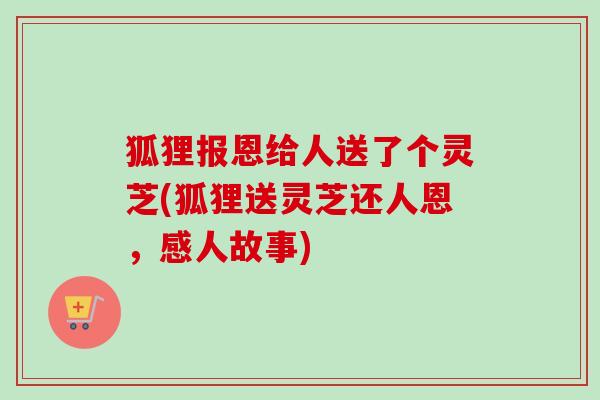 狐狸报恩给人送了个灵芝(狐狸送灵芝还人恩,感人故事) 狐狸报恩给人送了个灵芝(狐狸送灵芝还人恩,感人故事)