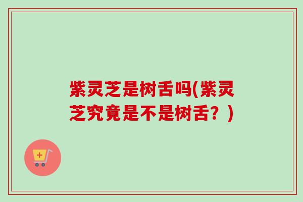 紫灵芝是树舌吗(紫灵芝究竟是不是树舌?) 紫灵芝是树舌吗(紫灵芝究竟是不是树舌?)