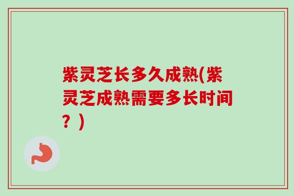 紫灵芝长多久成熟(紫灵芝成熟需要多长时间?) 紫灵芝长多久成熟(紫灵芝成熟需要多长时间?)